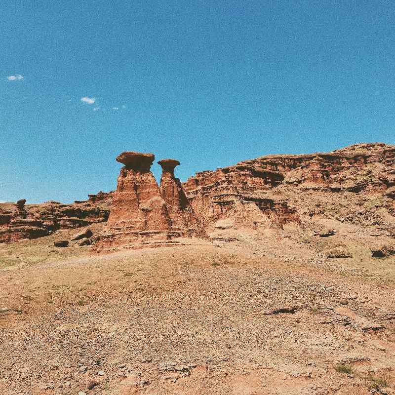 things to do in denver colorado