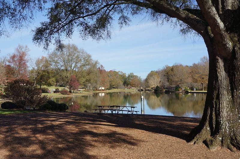 free things to do in charlotte nc